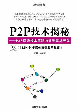 P2P技术揭秘 网络技术原理、系统开发与生态应用百科